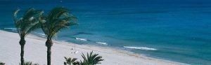 Agencias Inmobiliarias San Juan Alicante